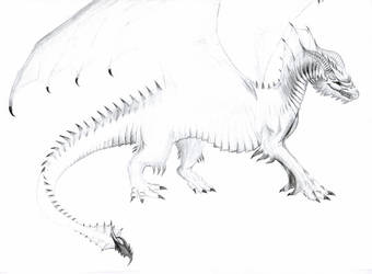 Dragon sketch