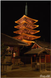 Lights of Asakusa 2