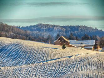 Snowpatterns