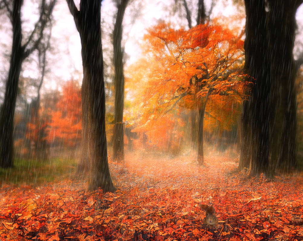 Autum rain by mermaidine on DeviantArt