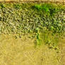 The strange little world of the water trough