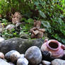 Little wild garden