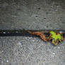 The leaf snake