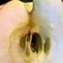 Apple Seed's Hidden Home