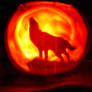 wolfs rain pumpkin