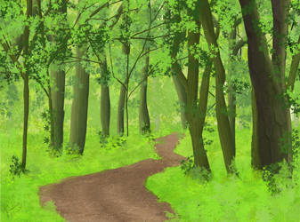 Forest Path In The Summer