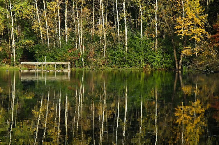 autumn pond