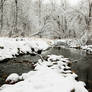 nine mile creek winter