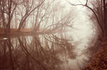 Shrouded in Fog III by BrianWolfe