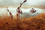 Shrouded in Fog VI by BrianWolfe