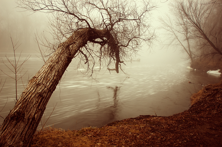 Shrouded in Fog VIII