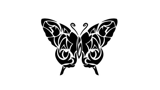 Butterfly Tattoo