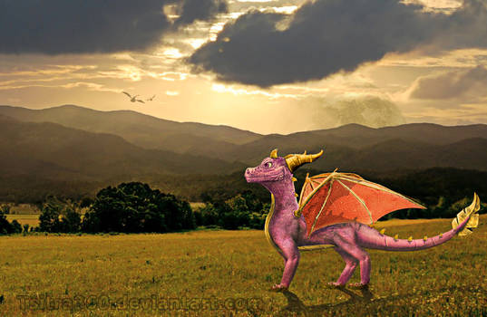 The Real Spyro