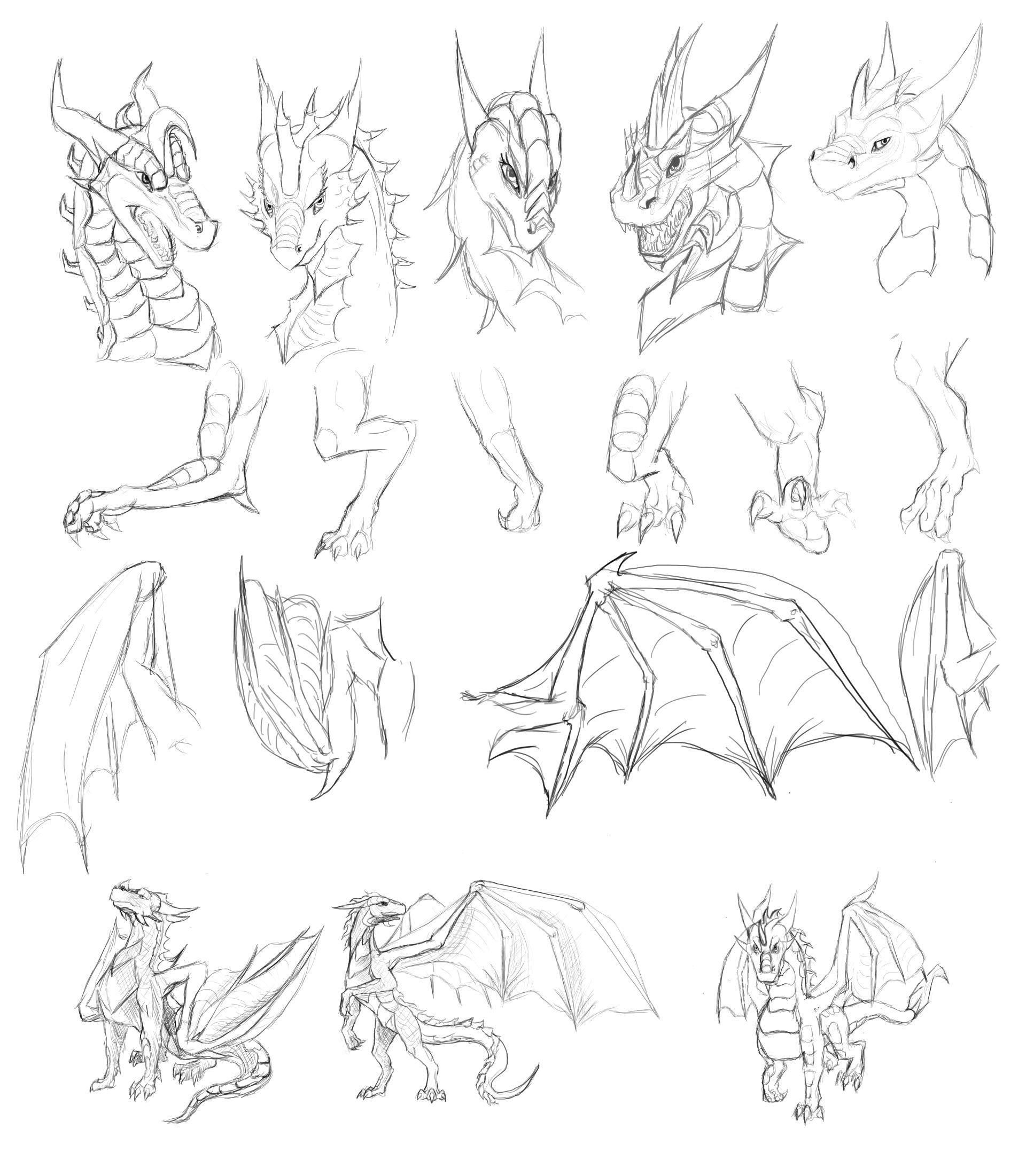 Dragon Art Study by Tsitra360 on DeviantArt