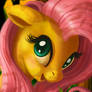 Flutter of Kindness