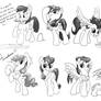 The Other Mares_ R63 Concepts