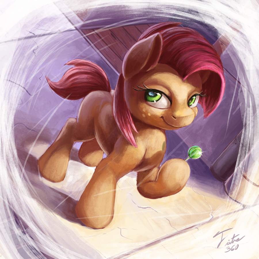 CMC Set_Babs Seed