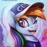 Super Bowl Pony _ Dash