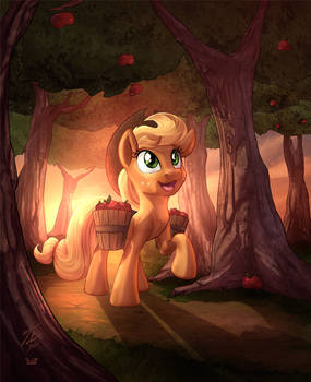 AJ in the woods _ Collab