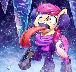 Apple Bloom in Snow