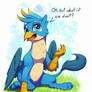 Gallus Questions