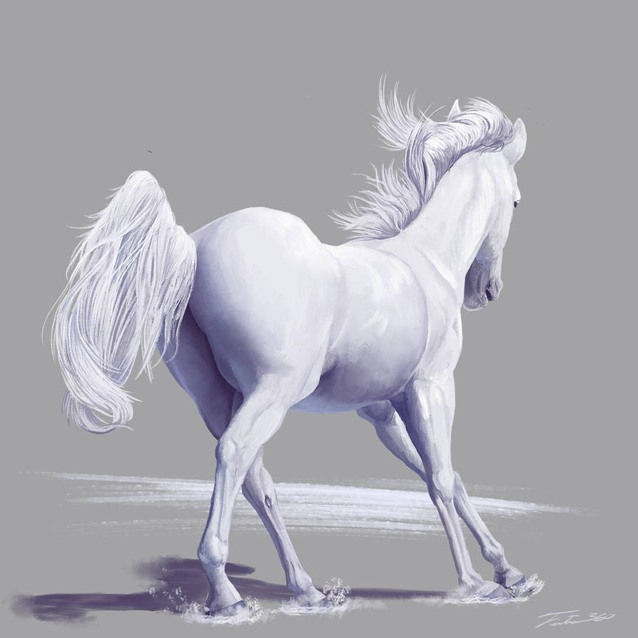 Horse Paint Study