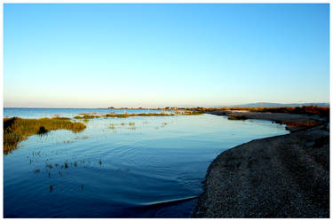 Bay Area Shore