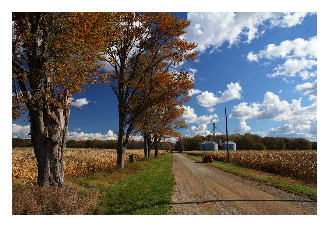 Down Dogwood Road