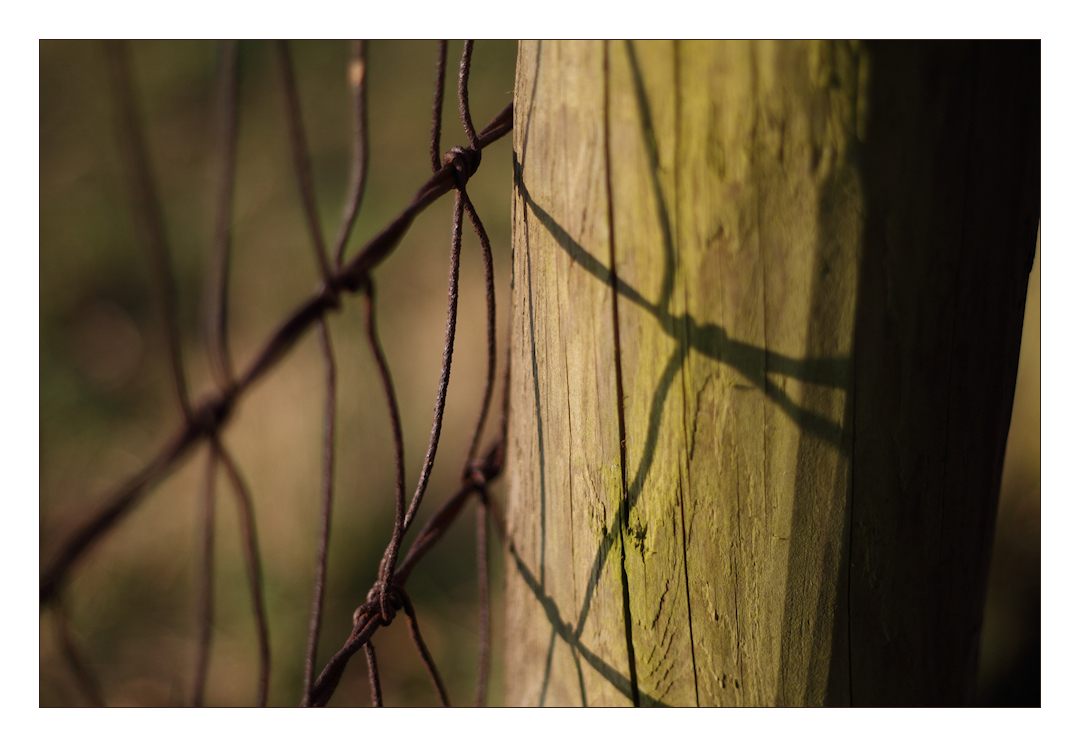 Betwixt Field and Footpath