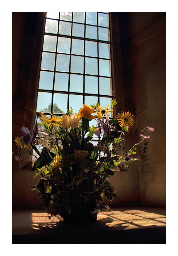 Flowers in the Window