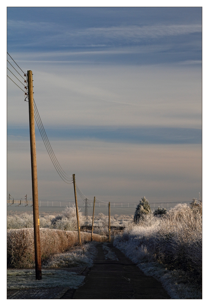 Hoar Frost