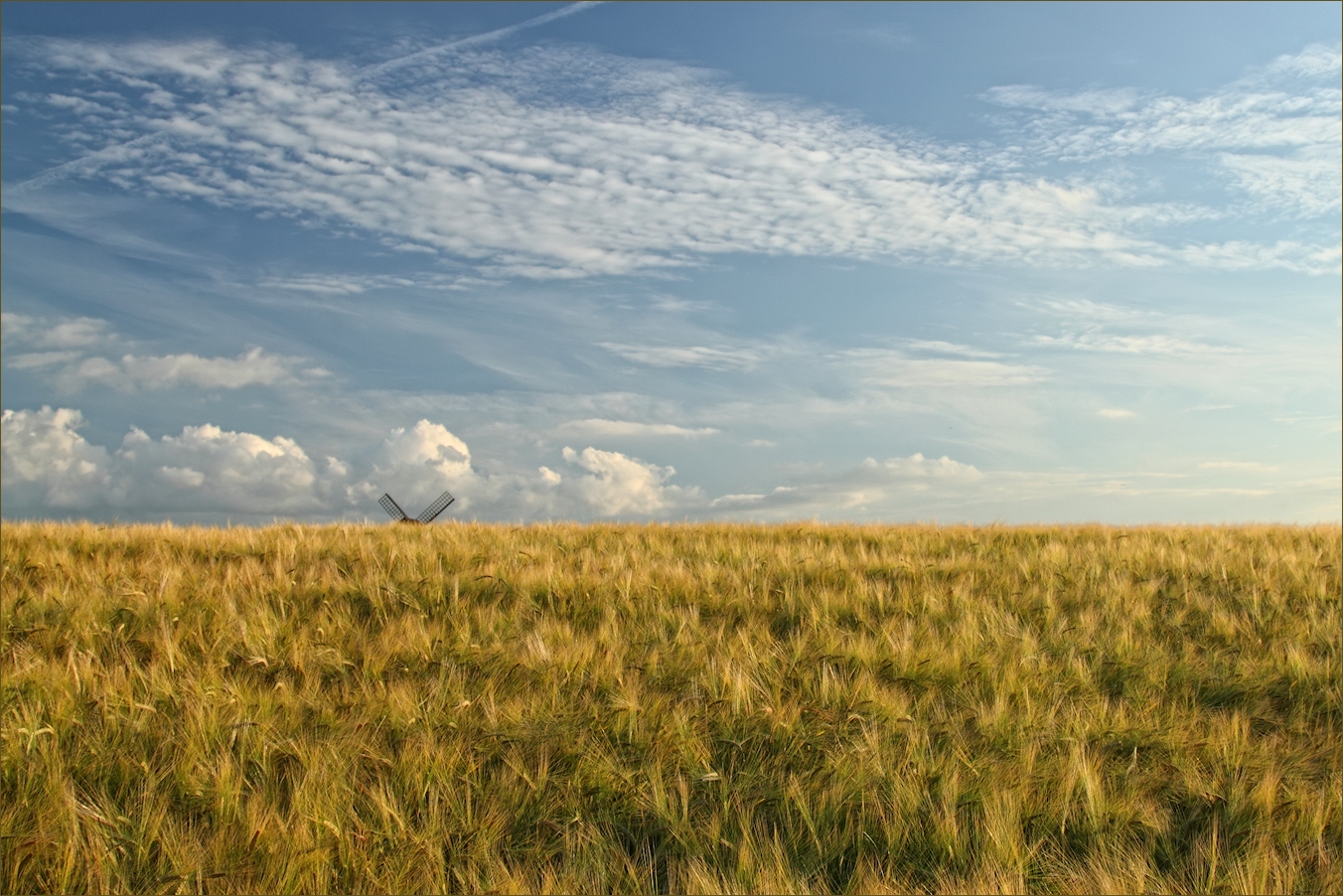 Beyond the Barley