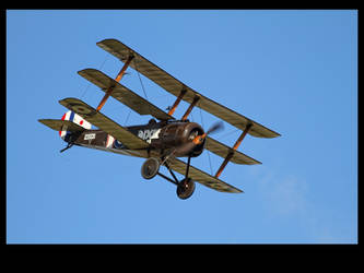 Sopwith Triplane