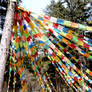 Prayer Flags