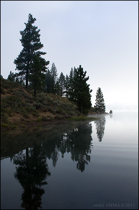 Boca Reflections III