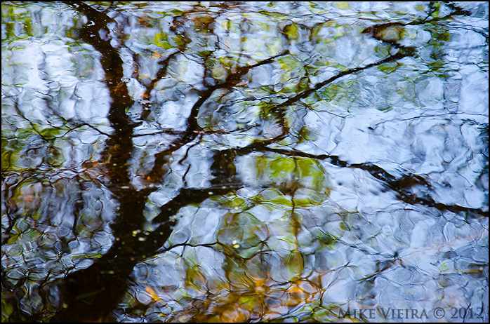 Abstract Reflections