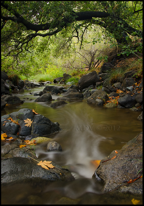 Stenner Creek II