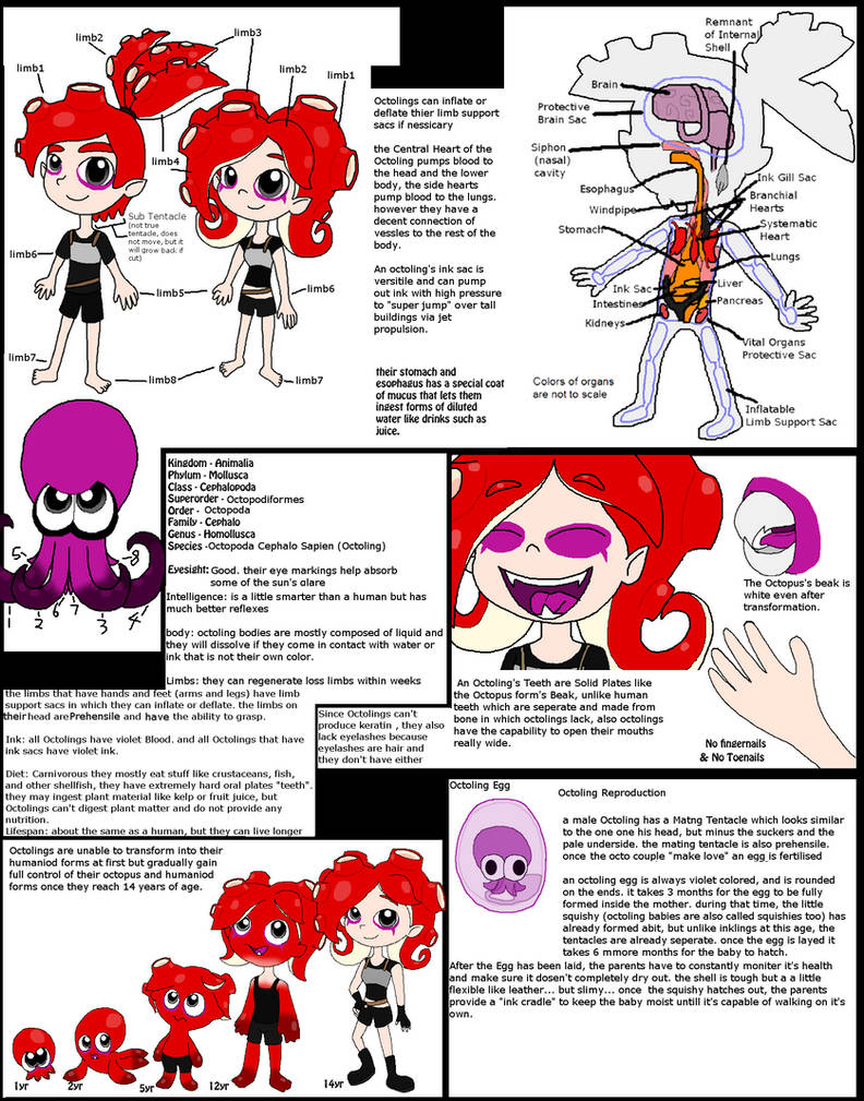 Octoling Biology (Info Sheet) Full by Rotommowtom on DeviantArt