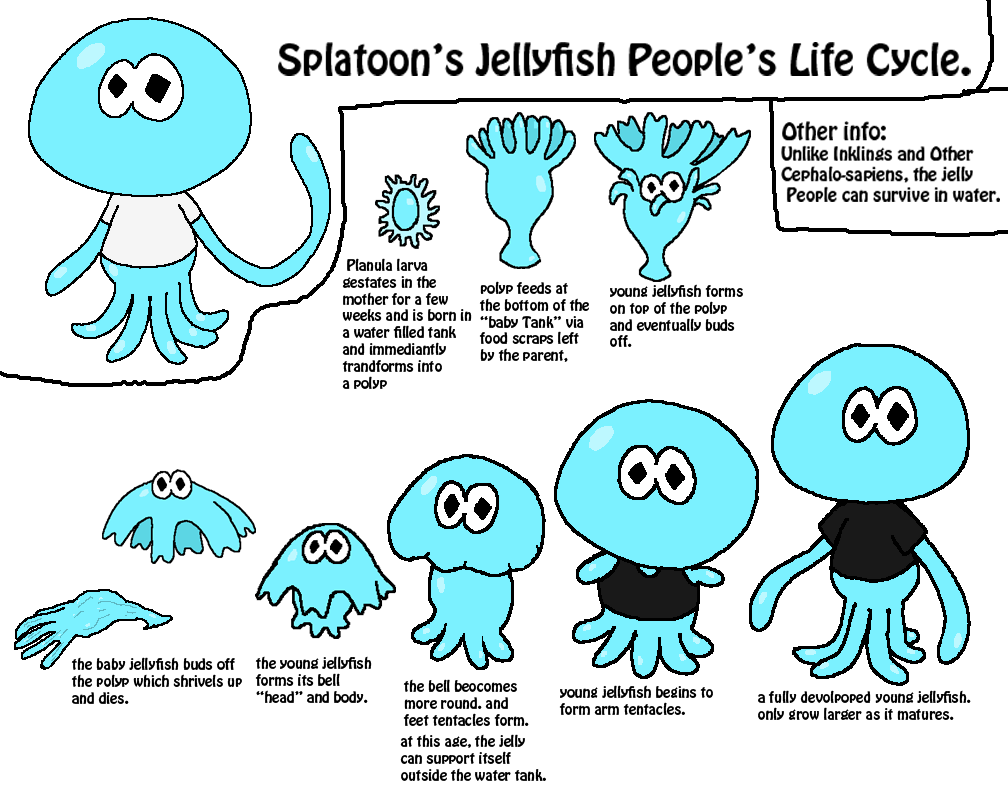 Splatoon Evolution Chart Splatoon's Jellyfish People's Age Chart by Rotommowtom on DeviantArt