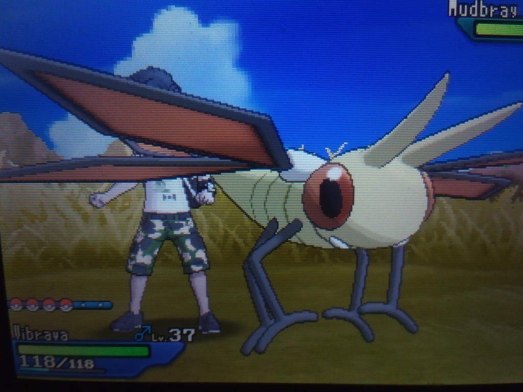 My Shiny Vibrava by Rotommowtom on DeviantArt