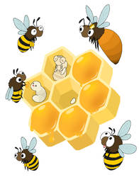 Honeybees and Honeycomb
