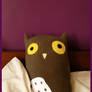 Bed Owl