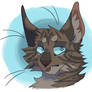 Hawkfrost