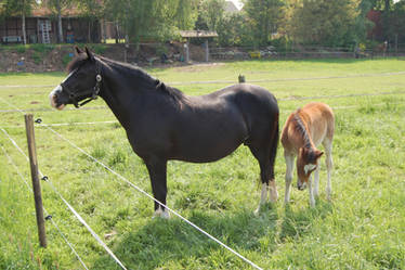 Mother and Daughter