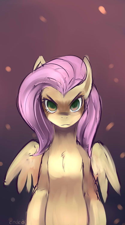 new fluttershy