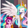 A New Princess