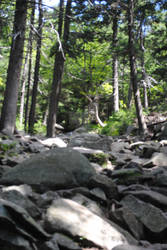 Monadnock State Park 047