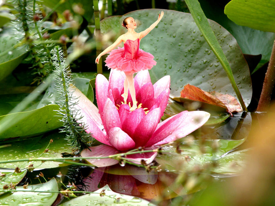 Optilux Deviantart LOTUS DANCER by OPTILUX on DeviantArt