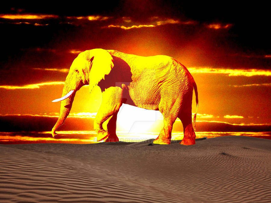 Optilux Deviantart Golden Elephant by OPTILUX on DeviantArt
