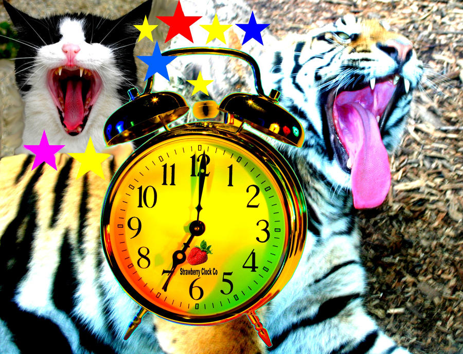 Optilux Deviantart Alarmed Cats by OPTILUX on DeviantArt
